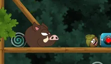 Doctor Acorn 2
